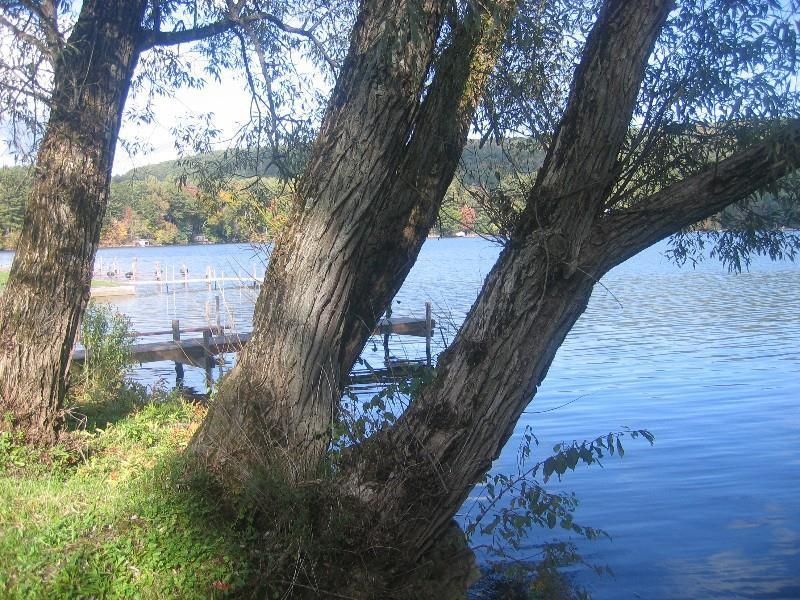 Red Carpet Inn On The Lake - أونيونتا المظهر الخارجي الصورة